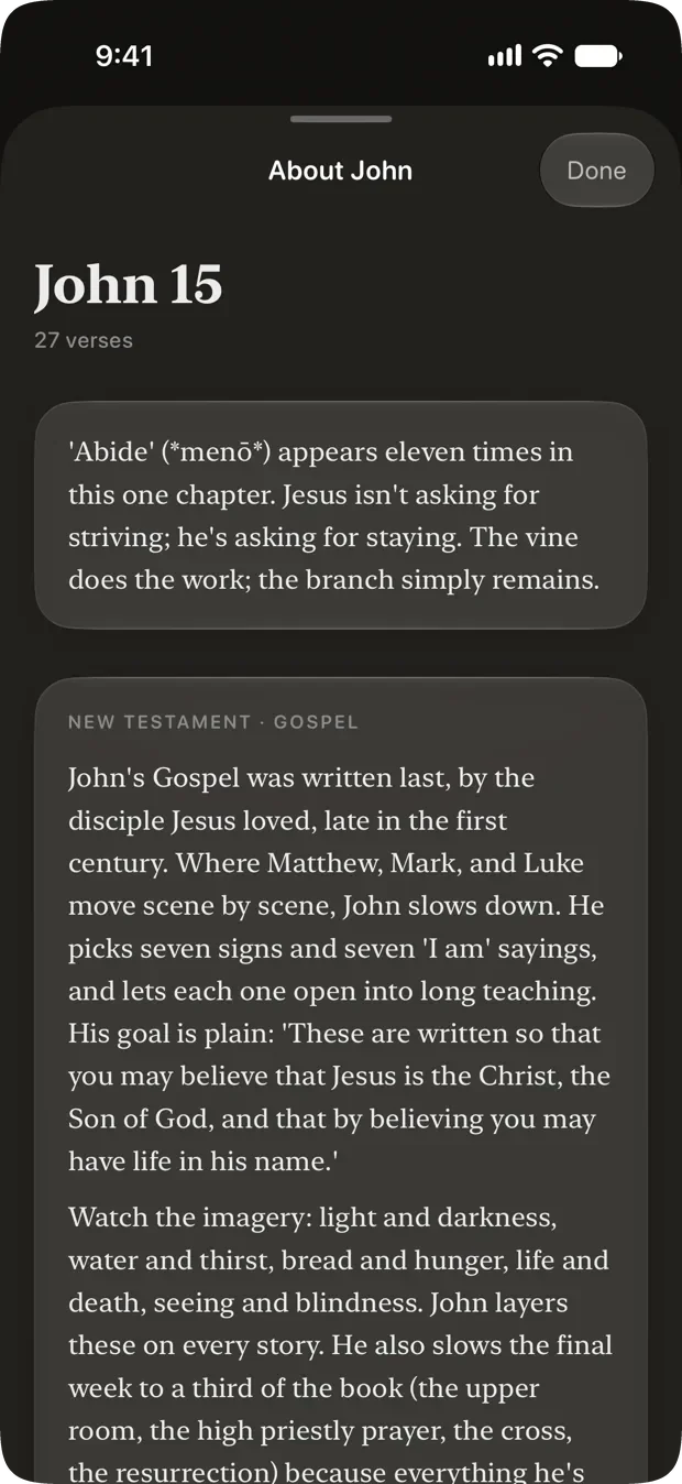 The chapter context sheet for John 15, showing the chapter's verse count, a note on the word abide, and a written brief on the Gospel of John.